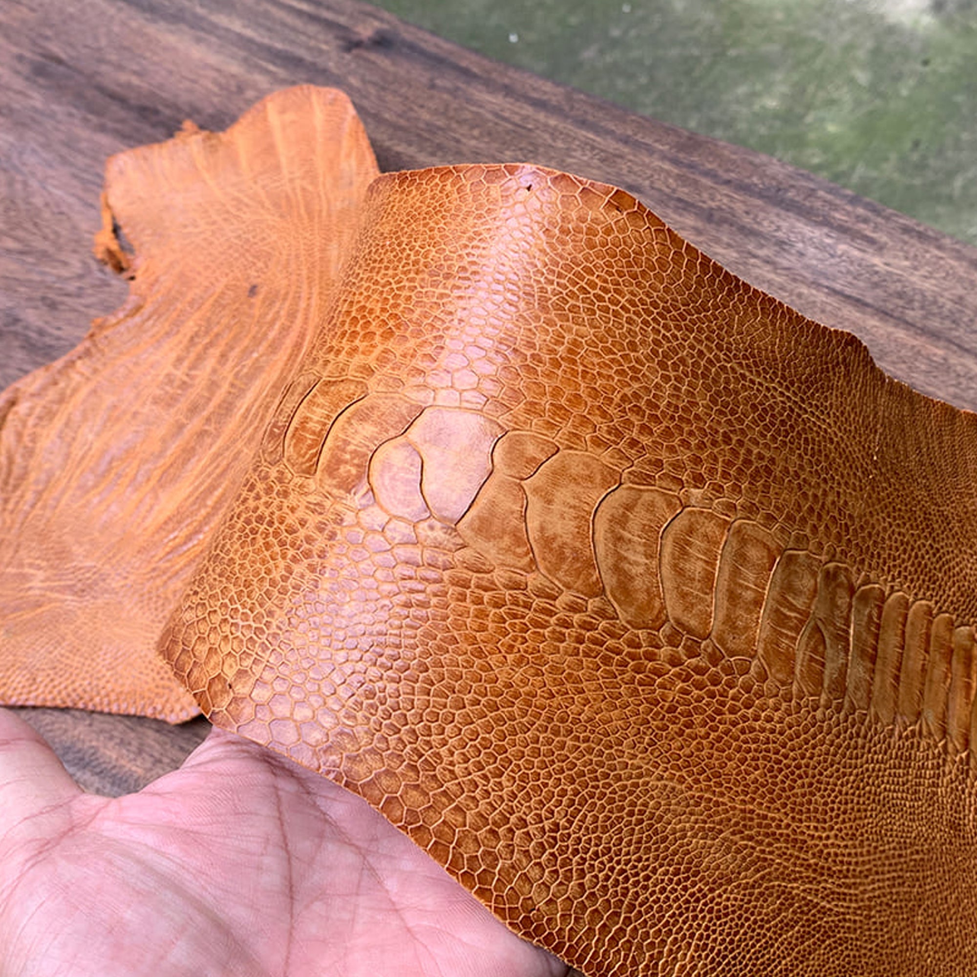 ostrichleg hide — XILUGS