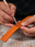 Edge Sanding